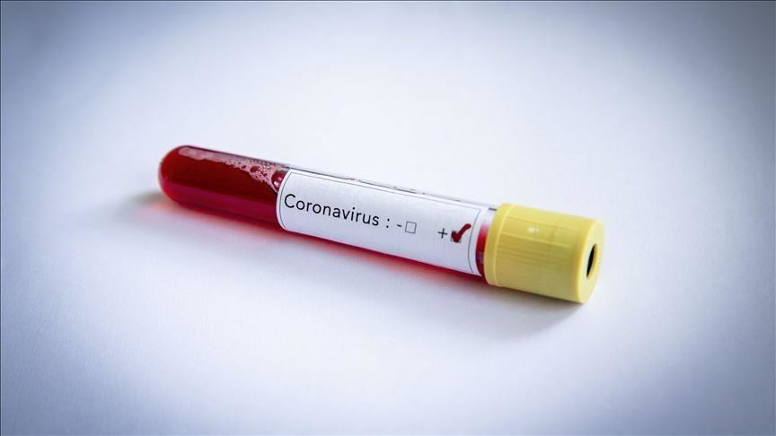 coronavirus tests